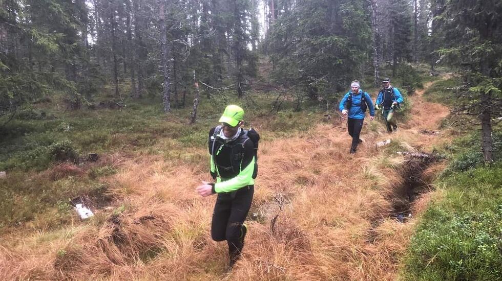 Ultraløpere i et ganske fint parti, det var verre med myrene på Hedmarksvidda. (Arrangørfoto)