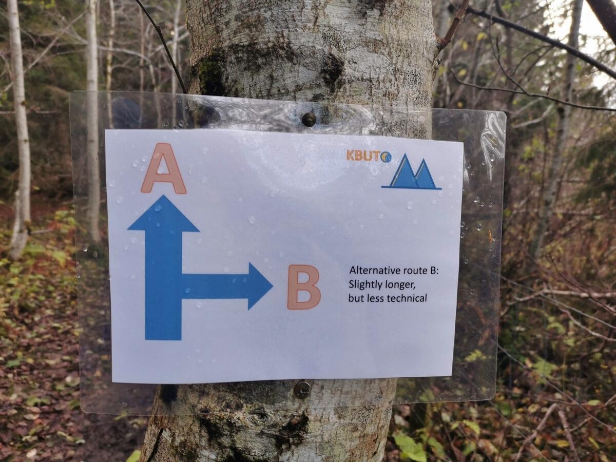 Alternativ rute (foto Torgeir Kruke) (1280x960)