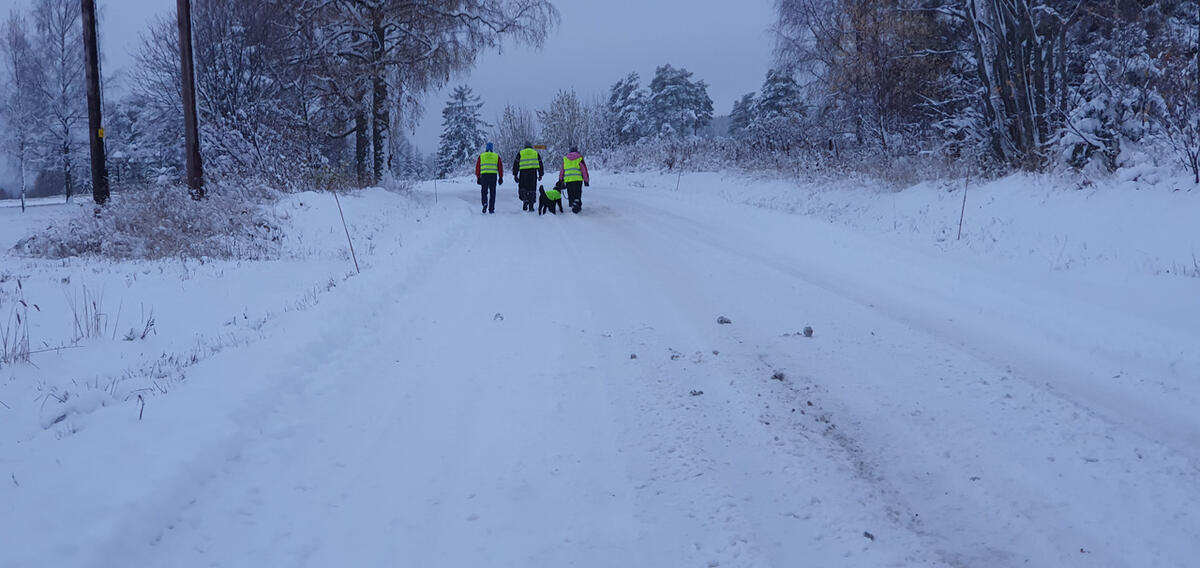Trimmere på tur