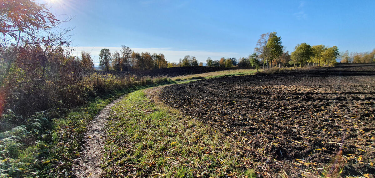 Ottestadstien Rundt fotol¢p (17)