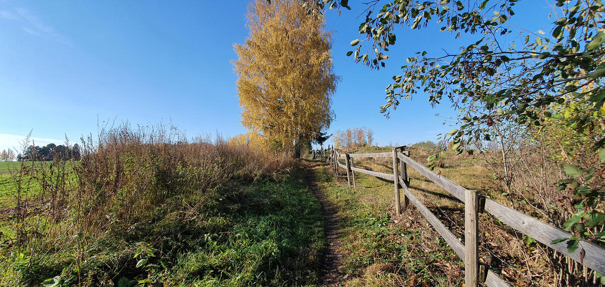 Ottestadstien Rundt fotol¢p (18)