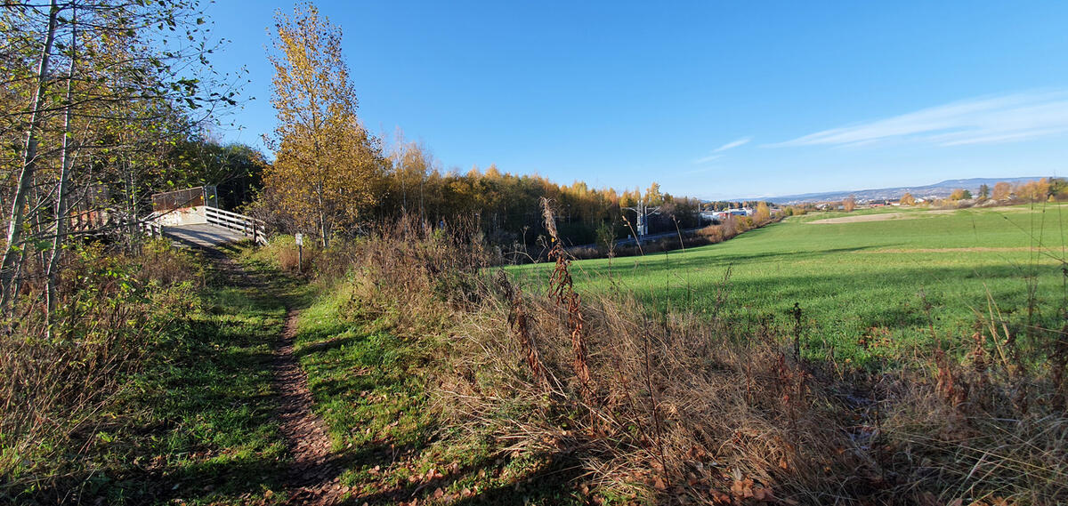 Ottestadstien Rundt fotol¢p (19)