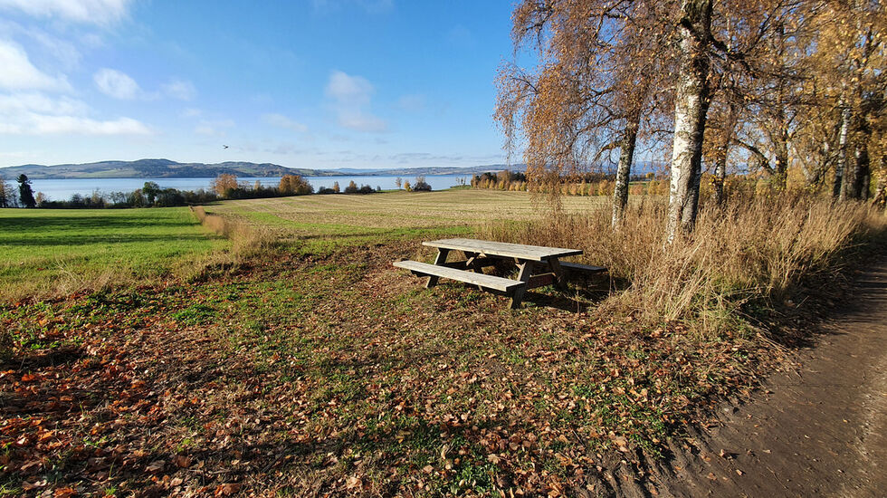 Ottestadstien Rundt fotol¢p (22)