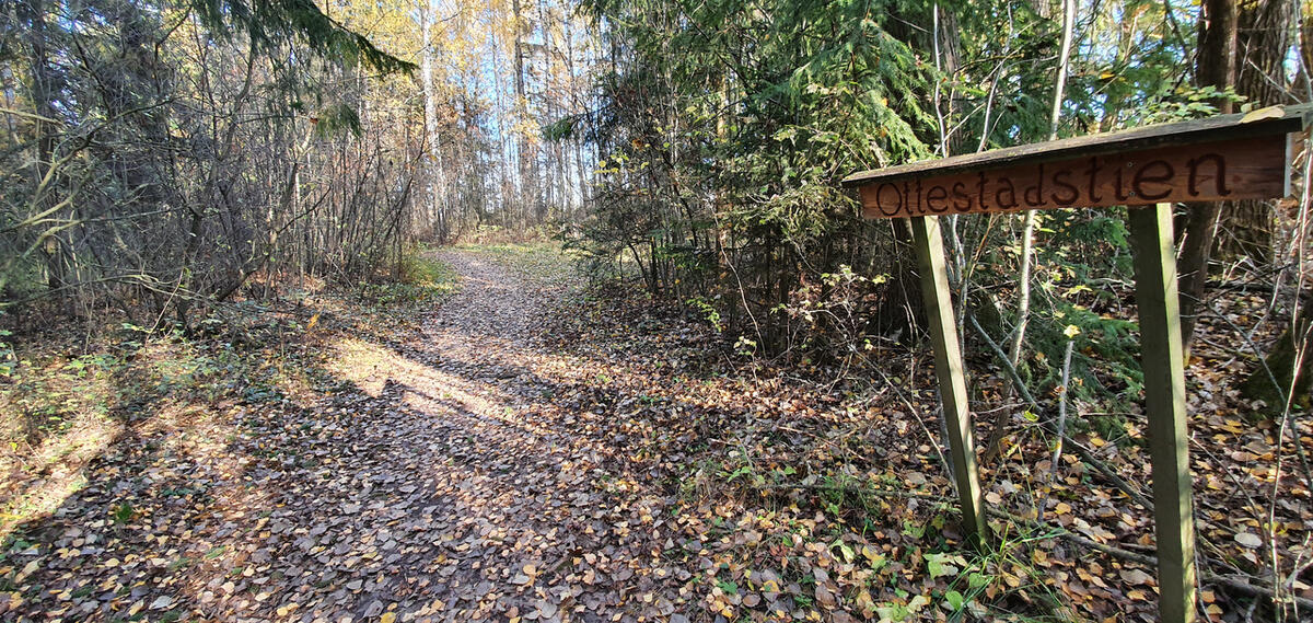 Ottestadstien Rundt fotol¢p (25)