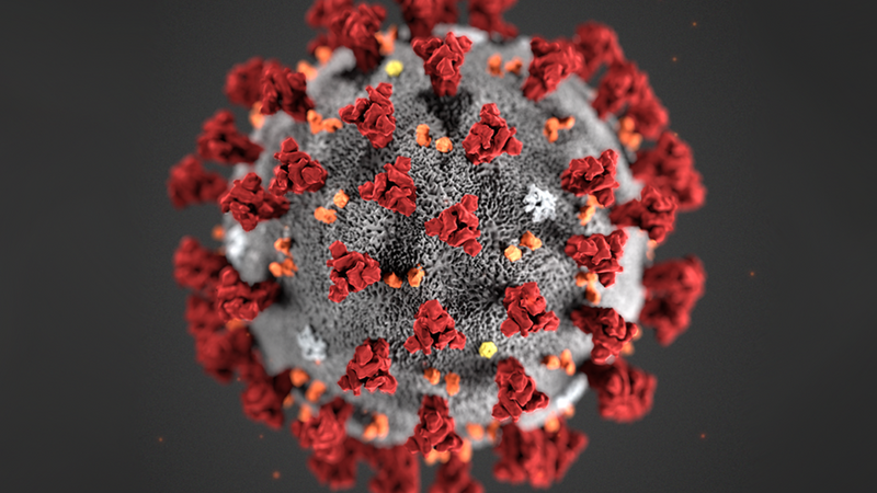 koronavirus-tema21