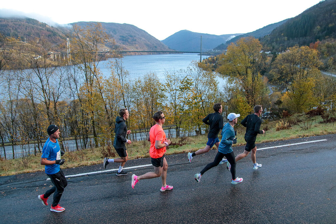 Løperne følger den gamle veien langs Sørfjorden. Her ser vi broen over til Osterøy i bakgrunnen. (Alle foto: Arne Dag Myking)