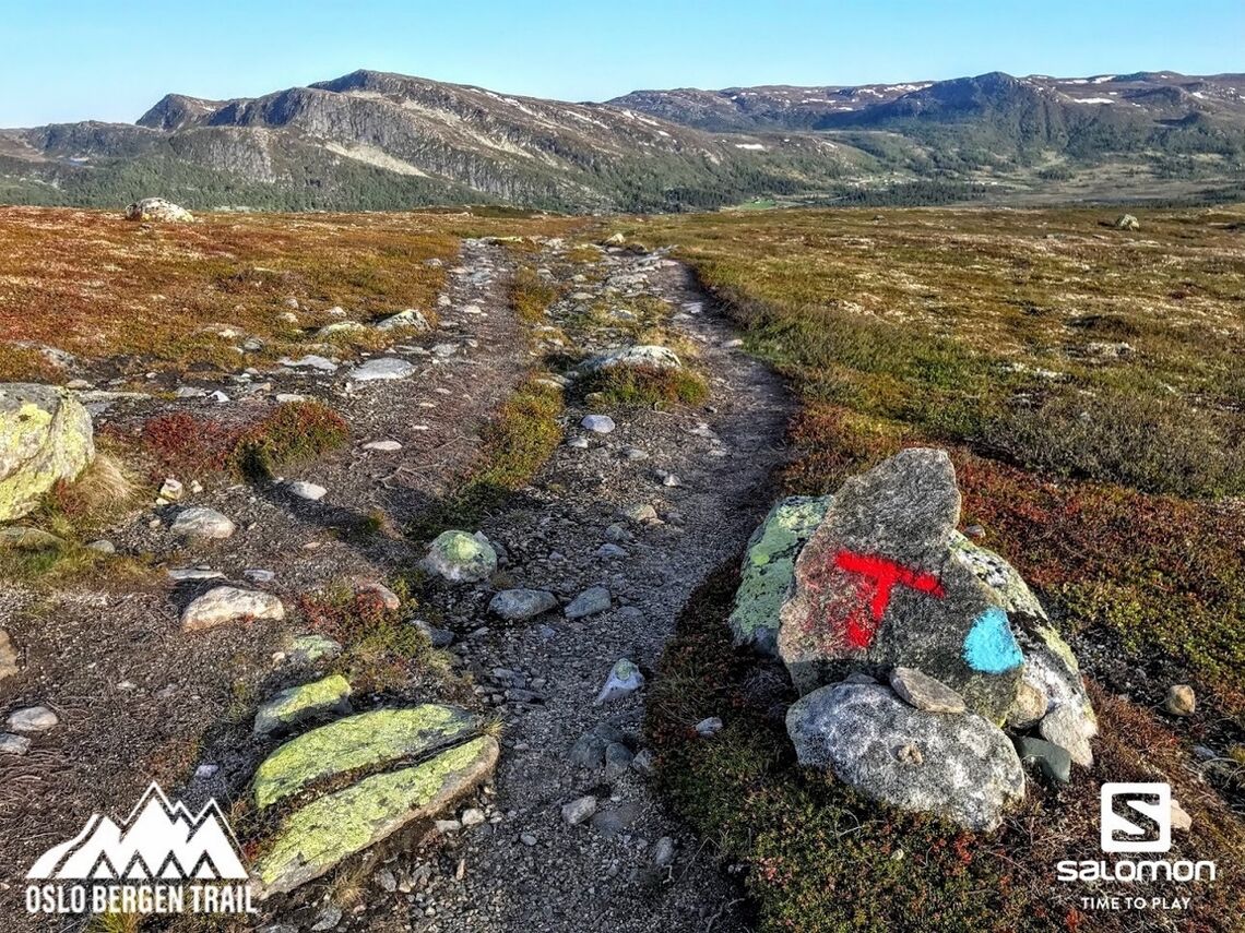 Det første fjellpartiet blir her over Norefjellryggen, men skogsterrenget før man kommer hit er av løpets tyngste partier. (Arrangørfoto)