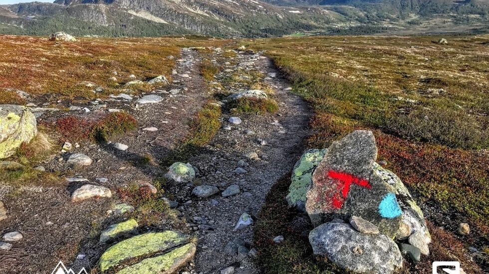 Det første fjellpartiet blir her over Norefjellryggen, men skogsterrenget før man kommer hit er av løpets tyngste partier. (Arrangørfoto)