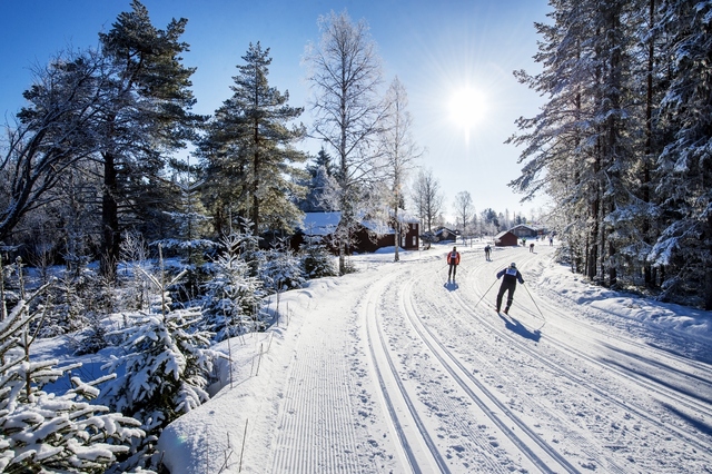Mora 2017-03-03  Stafettvasan och Nattvasan vinterveckan2017Foto: Ulf Palm / TT / kod 71515