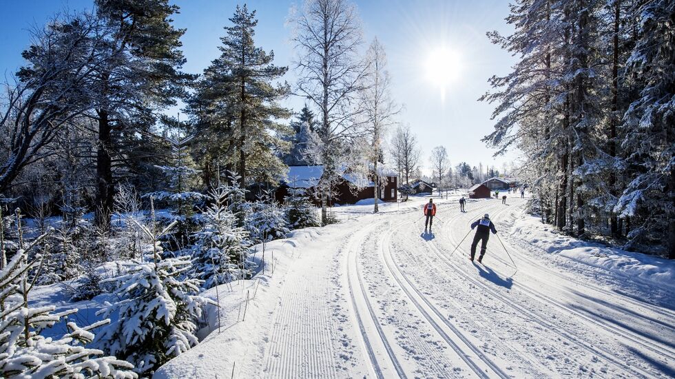 Det blir Vasalopp i disse løypene også i 2021, men bare eliten får gå selve rennet, de andre går Vasaåket (Foto: Vasaloppet/Ulf Palm)