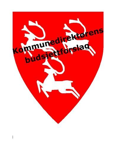 Kommunelogo med tekst kommunedirektørens budsjettforslag Kommunelogo med tekst kommunedirektørens budsjettforslag
