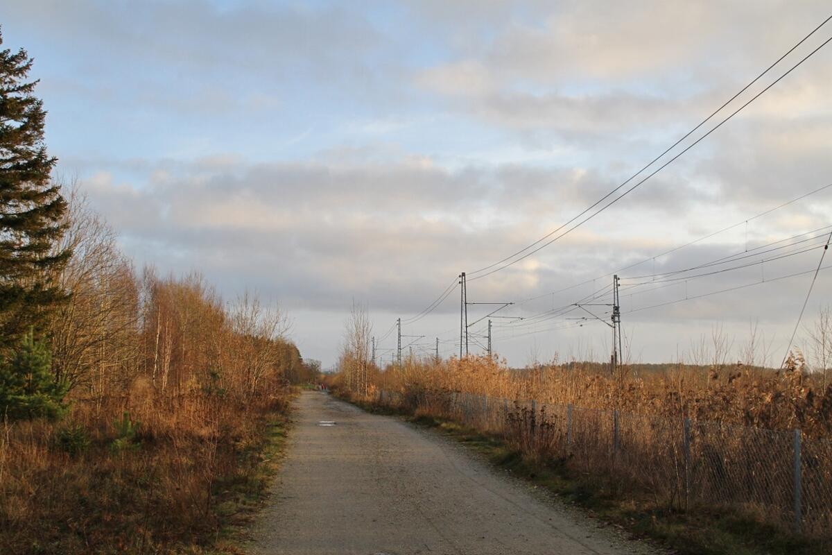IMG_8787_Langs_jernbabeb (1280x853)