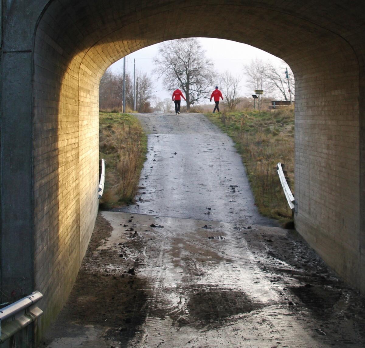 IMG_8796_Undergang_1,5km (1280x1220)