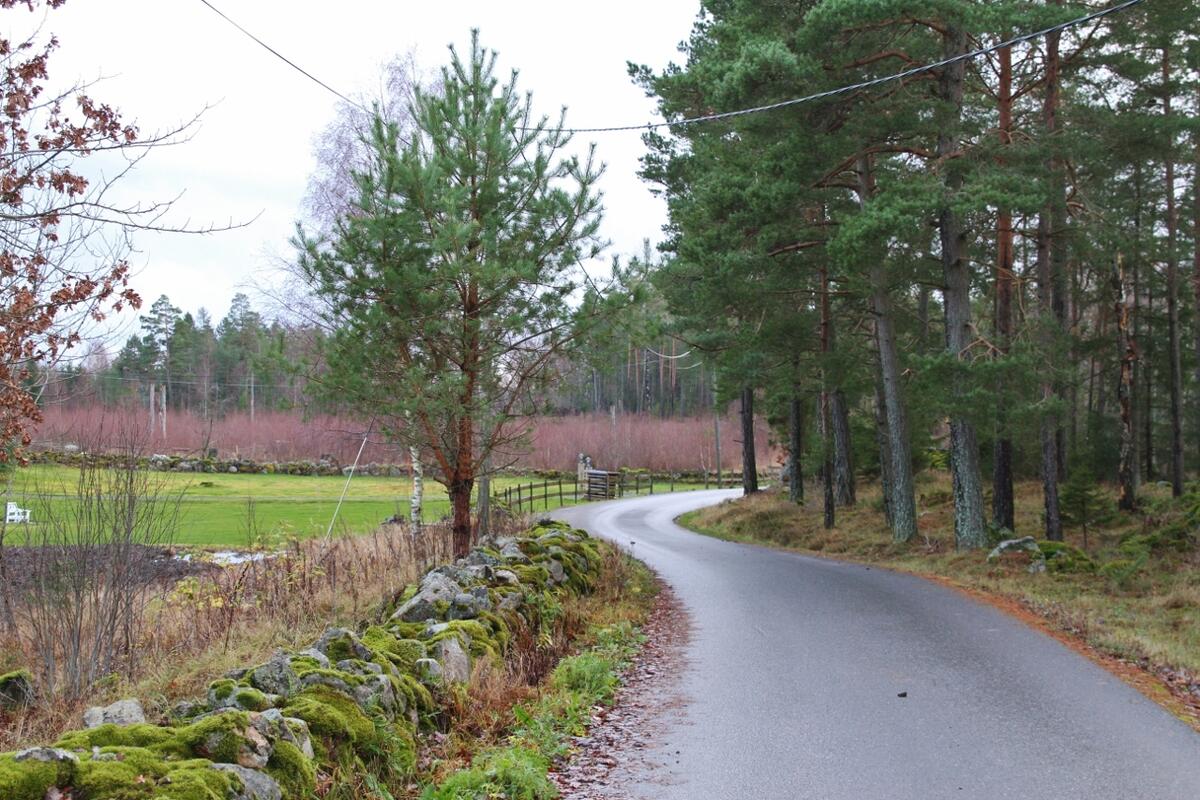 IMG_8804_Landeveien (1280x853)