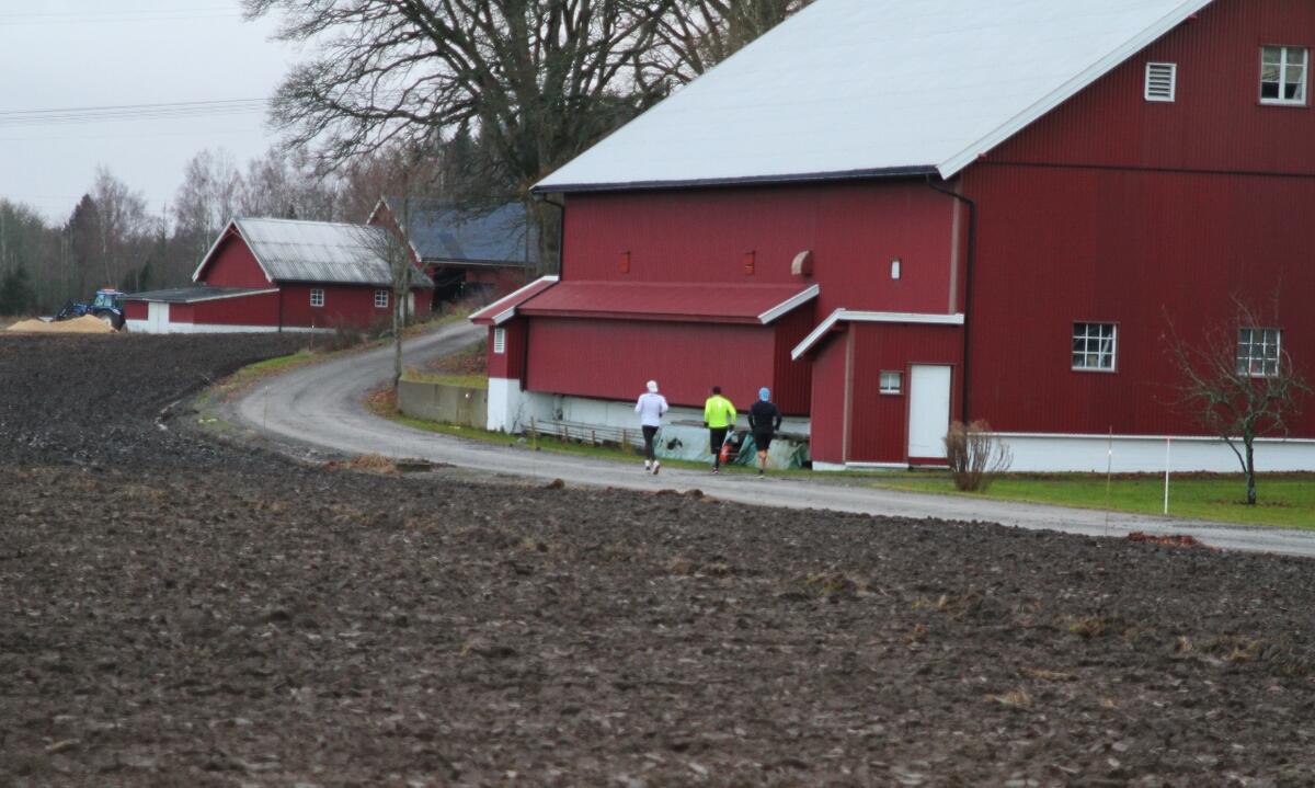 IMG_8813_Teten_snart_5km (1280x767)