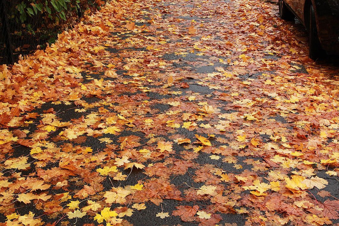 På oransje løper: Med fire runder rundt de samme gatene ble det god tid til å studere høstens farger. (Foto: Cristina Pulido Ulvang)