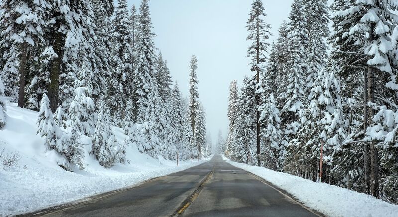 Illustrasjonsbilde av en tom vei med snødekte trær rundt