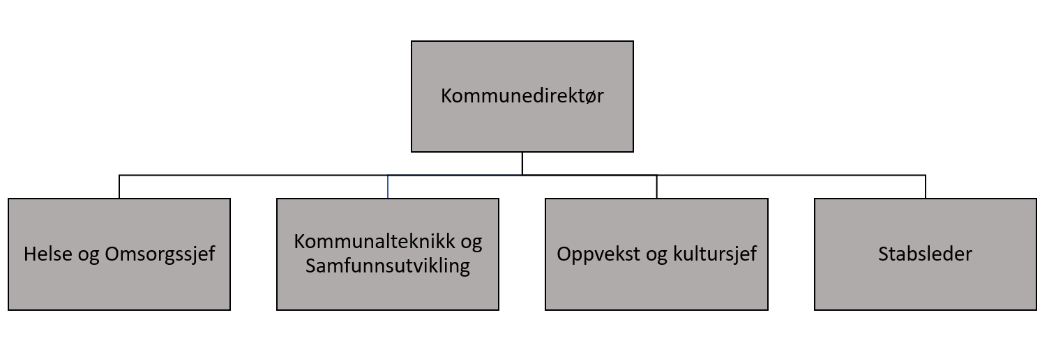 Organisasjonskart 2021.png