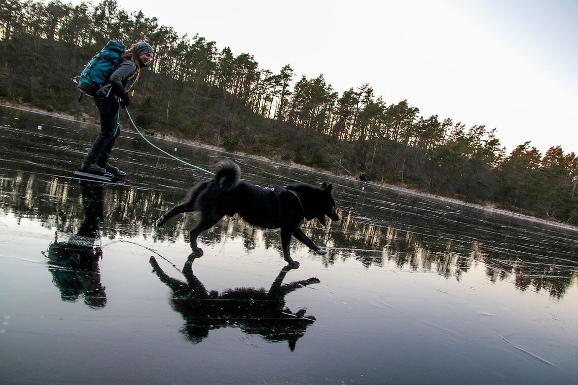 Jenny Ostrop og hunden danser elegant bortover det islagte vannet. (Foto: Arne Dag Myking)
