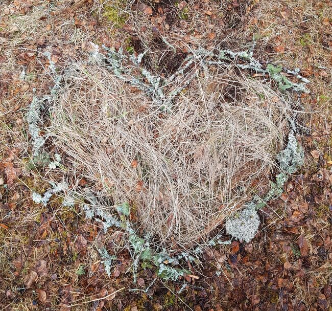 Hjerte av kvister og gress, laget av Margit Lyngvær, Orkanger