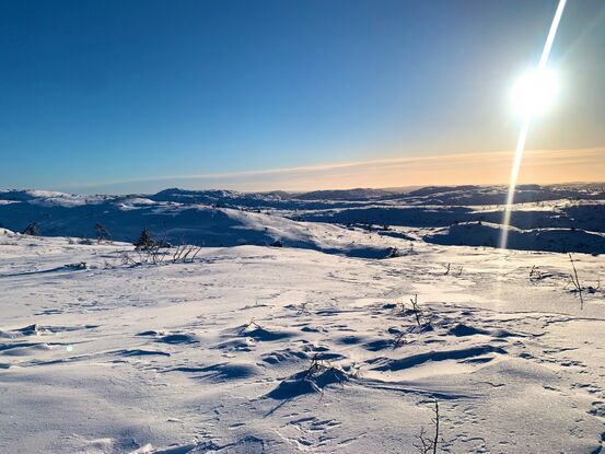 Vinter i fjellheimen i Åseral - Foto: Odd Helge Liestøl
