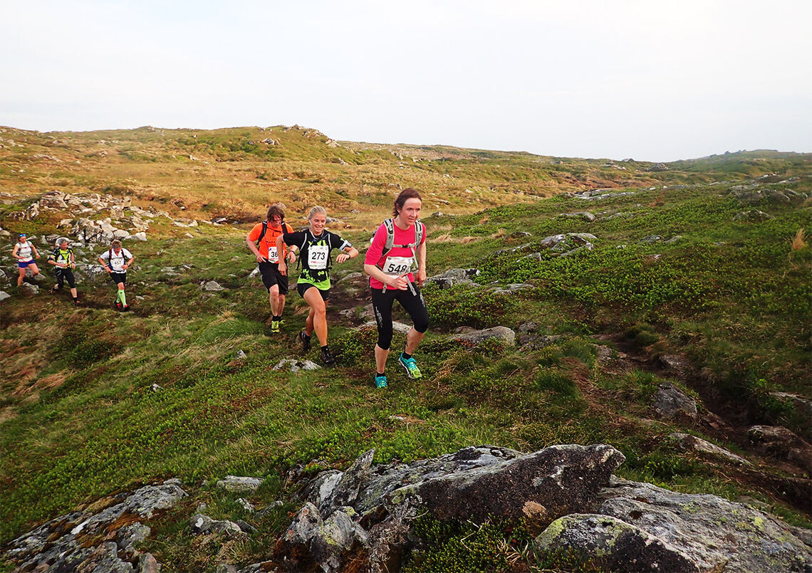 I Bergen Fjellmaraton får en testa seg både oppover, bortover og nedover. (Foto: Marianne Røhme)
