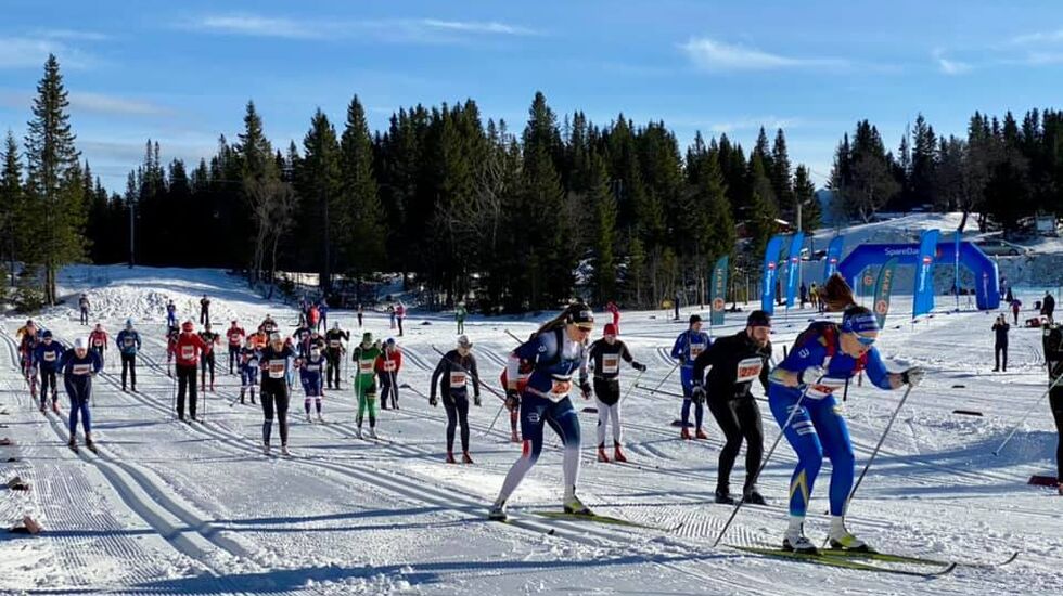 Stort sett alt av turrenn ble avlyst sist vinter. Med 155 fullførende deltakere var, så vidt Kondis kjenner til, Markatrimmen i Trondheim det turrennet med flest deltakere. (Foto: arrangør Trondhjems Skiklub)