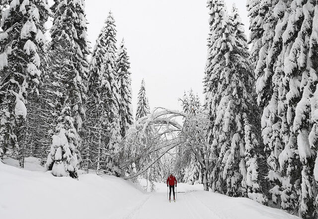 Lukkeportalen: Det er mykje glede å finne i bakkane i Nordmarka. (Foto: Eirik Ottesen)