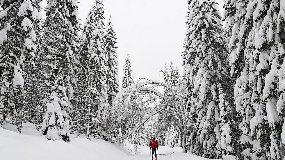 Lukkeportalen: Det er mykje glede å finne i bakkane i Nordmarka. (Foto: Eirik Ottesen) 