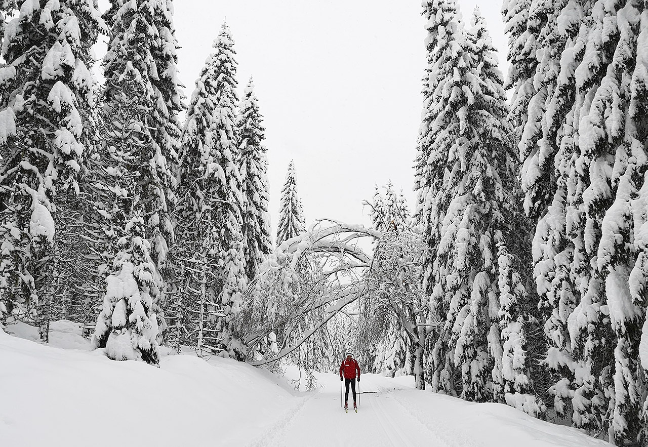 Lukkeportalen: Det er mykje glede å finne i bakkane i Nordmarka. (Foto: Eirik Ottesen)