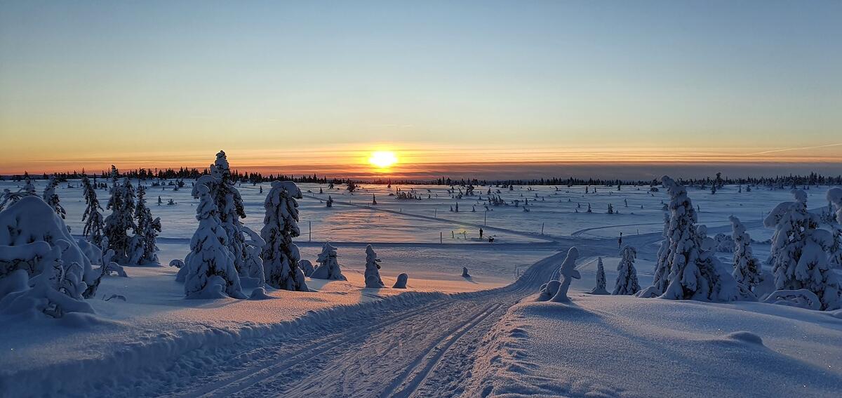 Stolpejakten på ski (2)