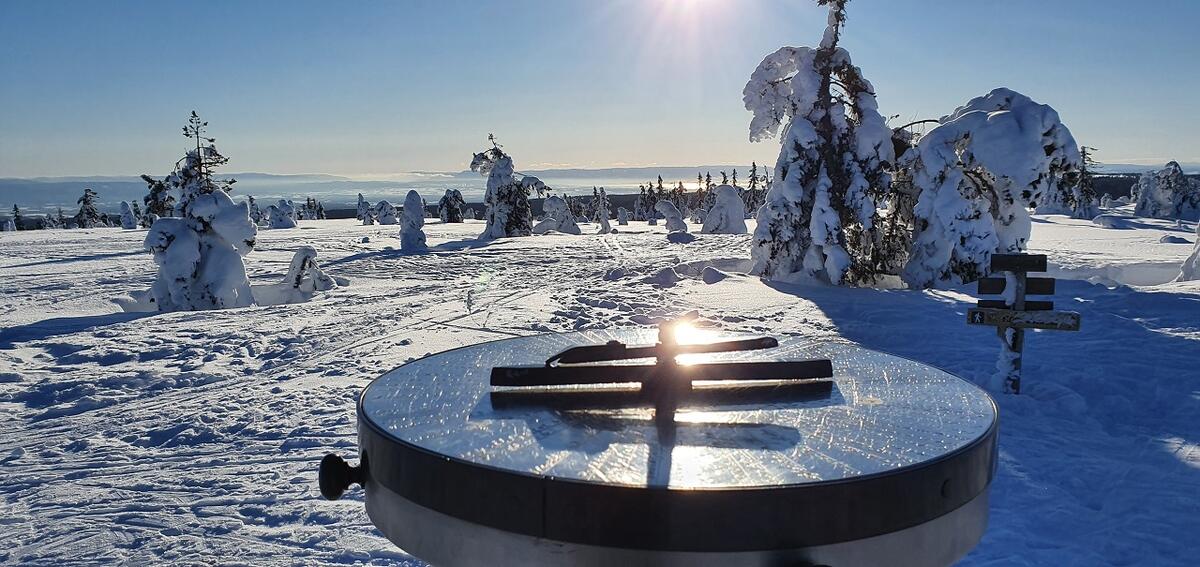 Stolpejakten på ski (3)