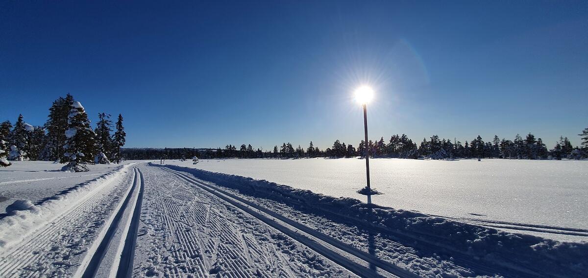Stolpejakten på ski (4)