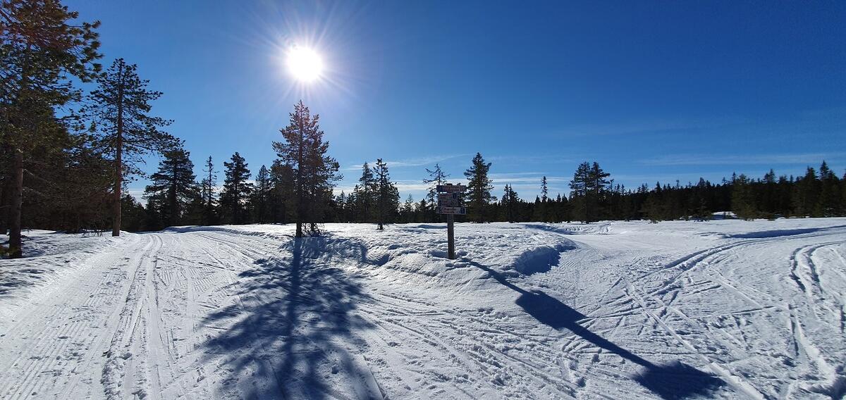 Stolpejakten på ski (5)