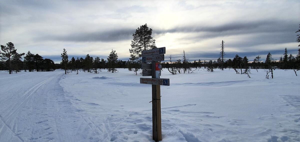 Stolpejakten på ski (6)