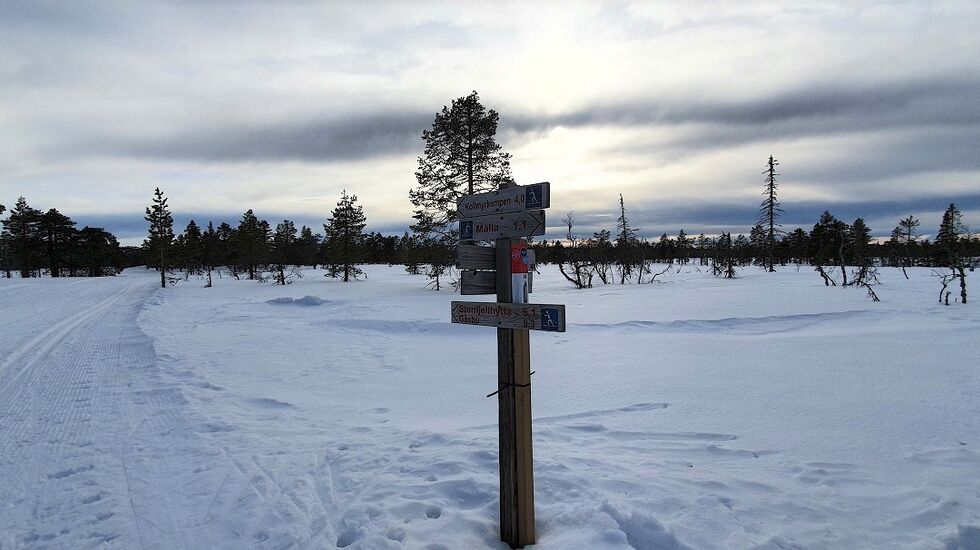 Stolpejakten på ski (6)