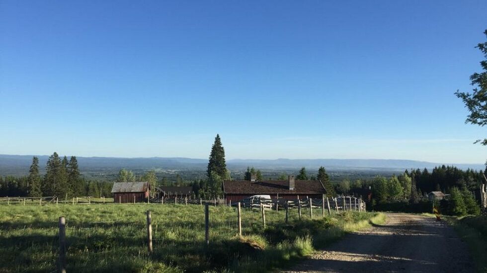 Utsikten fra Savalsætra i Løtenfjellet, startpunktet for årets ultranyhet i Hedmark. (Foto: HHT/Margrete Ruud Skjeseth)