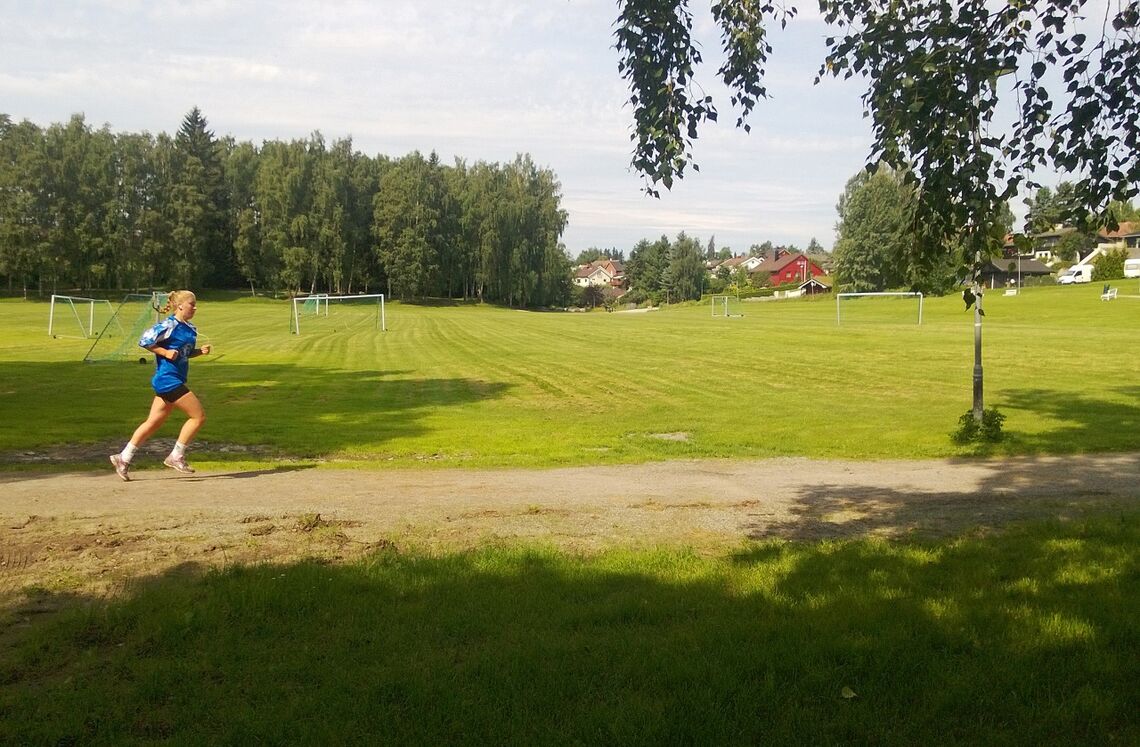 Det finnes fantastiske områder for alle typer løping i Hamar og nærområdet. Her fra Ankerskogen hvor første økt vil foregå. (Foto: Hamar kommune)
