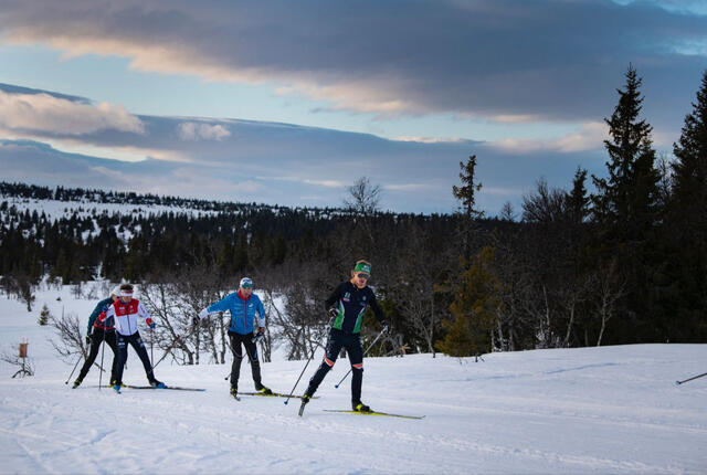 Det ble 16 timer og godt over 200 km på de fire langrennsjuniorene som skulle gjøre unna minst 8848 høydemeter på en treningsøkt. (Alle foto: Line Møller)