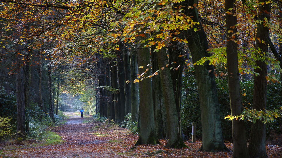 Tankene kan lett begynne å vandre mens man selv er ute og løper. (Foto: Erik Tanghe, Pixabay)