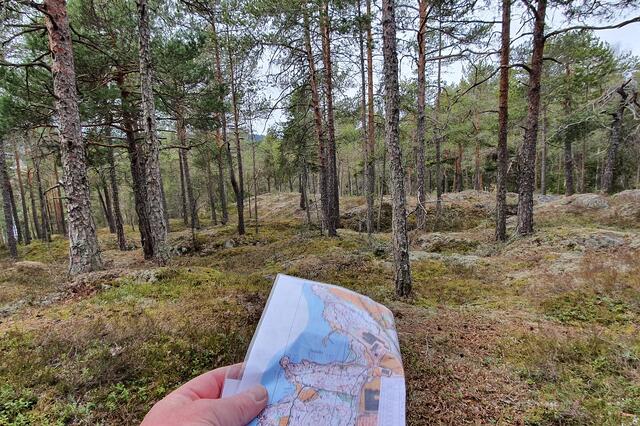 (Foto: Stein Arne Negård)
