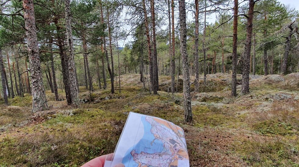 (Foto: Stein Arne Negård)