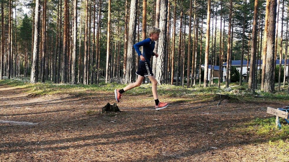 Elverumtrimmen går på deilige skogsstier i Stavåsen og på Løvbergsmoen. (Foto: Rolf Bakken)
