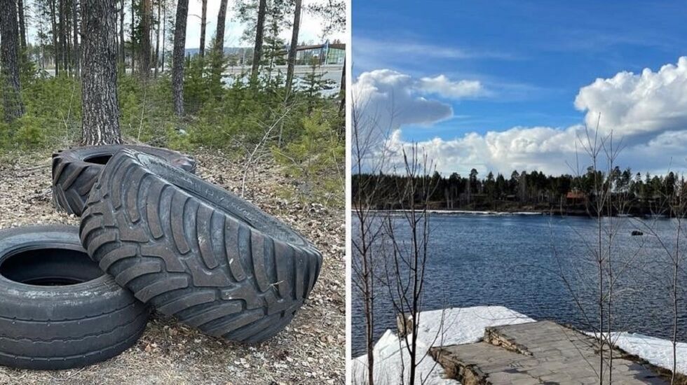 Dekk og dukkert er noe av det som venter deltakerne i vårens oppvarmingsløp til Forest Run senere i år. (Arrangørfoto)