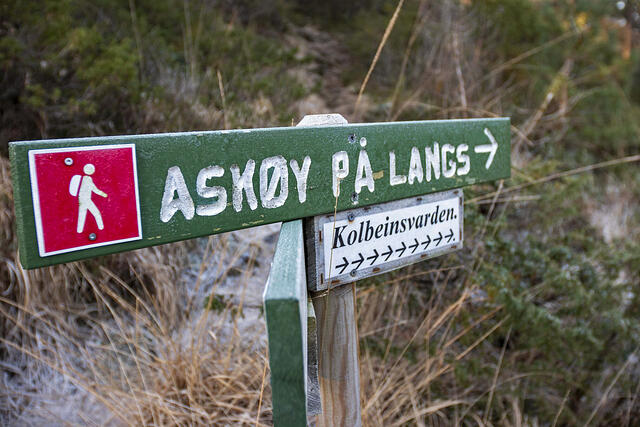 En dugnadsgjeng har forbedret løypen som er tilgjengelig som en fin turtrasé.(foto: arrangør)