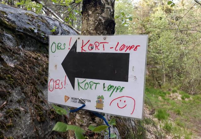 Løypene i Terrengkarusellen er godt merket hele veien! Foto: Guro Sæterlid