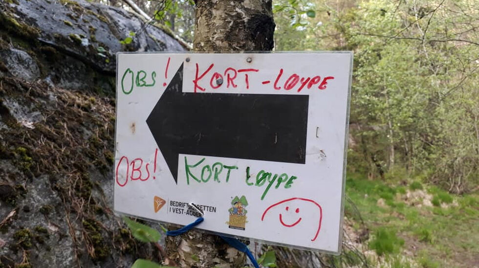 Løypene i Terrengkarusellen er godt merket hele veien! Foto: Guro Sæterlid