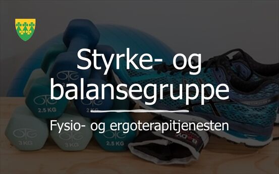 Styrke- og balansegruppe - Fysio-ergoterapitjenesten Rakkestad kommune