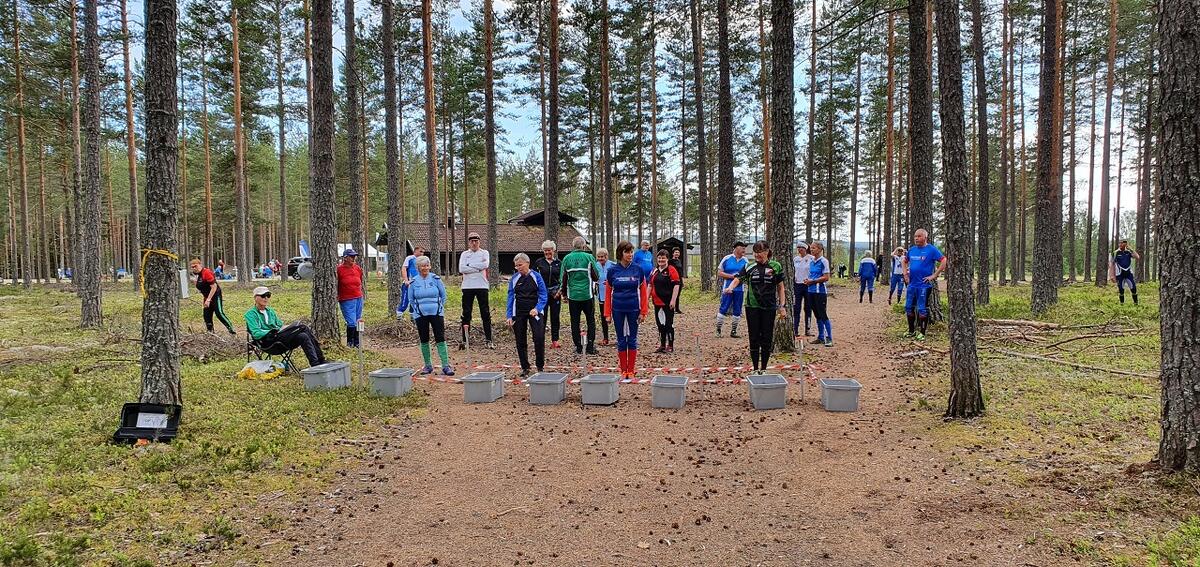 Bedrift-o Elverum (1)