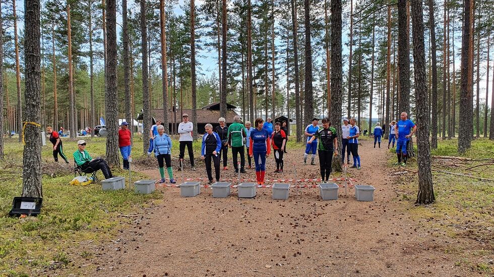 Bedrift-o Elverum (1)